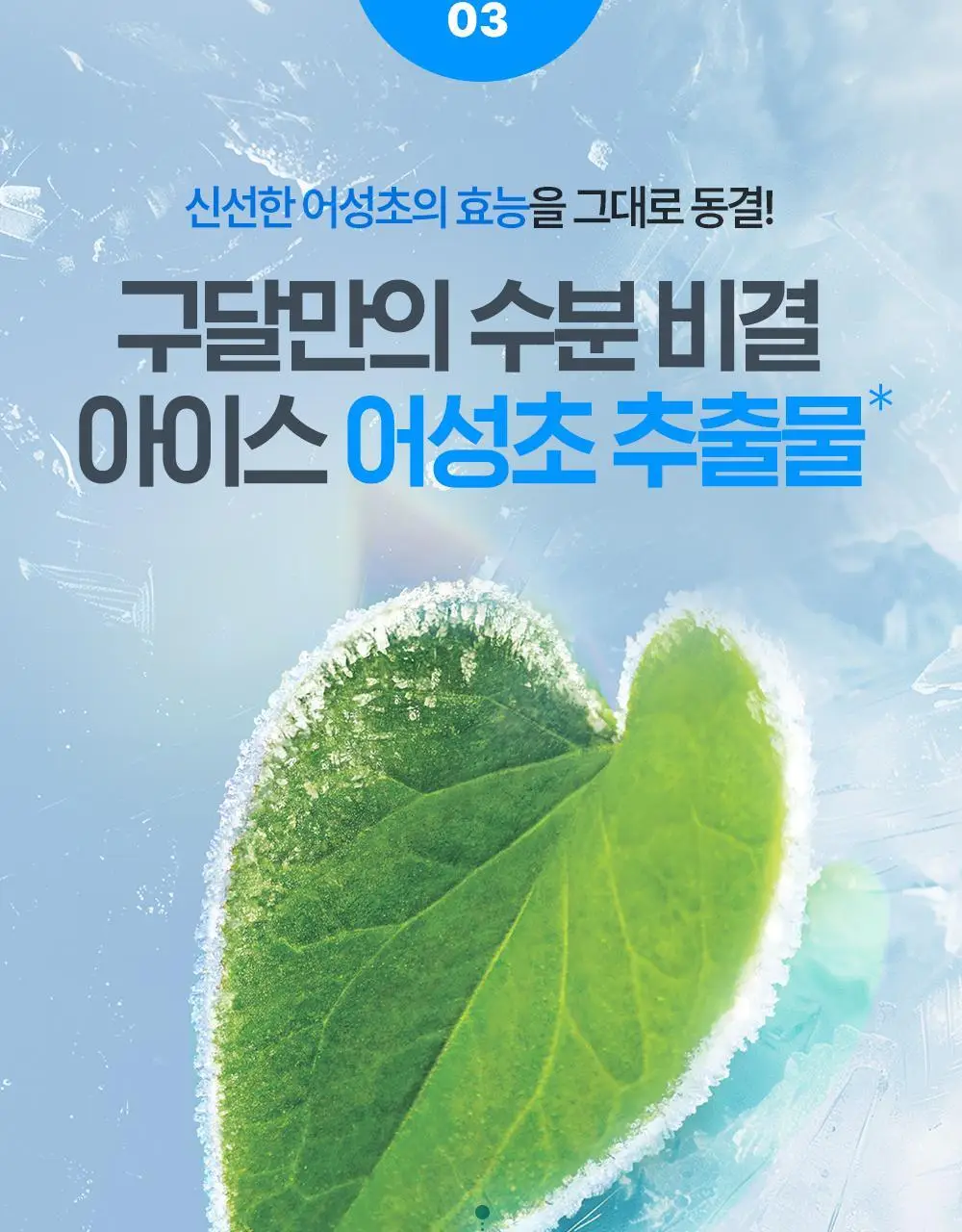 [단독 리필기획] 구달 어성초 히알루론 수딩 토너 350ml 리필 기획 (+350ml 리필) 상세페이지 16